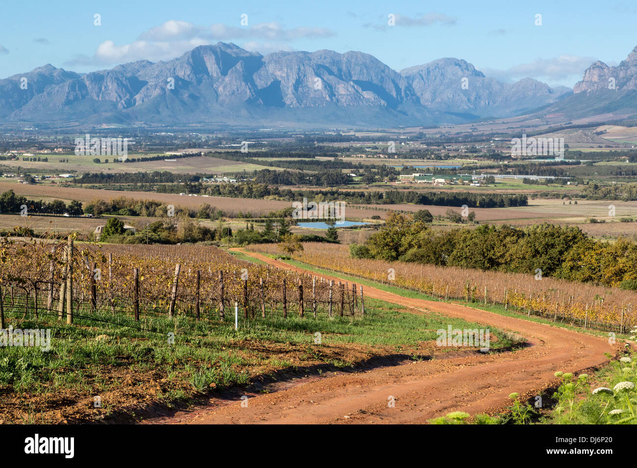 Südafrika, Paarl Gegend, in der Nähe von Kapstadt. Malerische Landschaft. Weinberg im Winter auf der linken Seite. Stockfoto