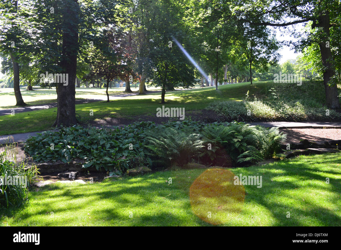 ein Sonnenstrahl fällt auf einen Pfad in einem angelegten Garten Stockfoto
