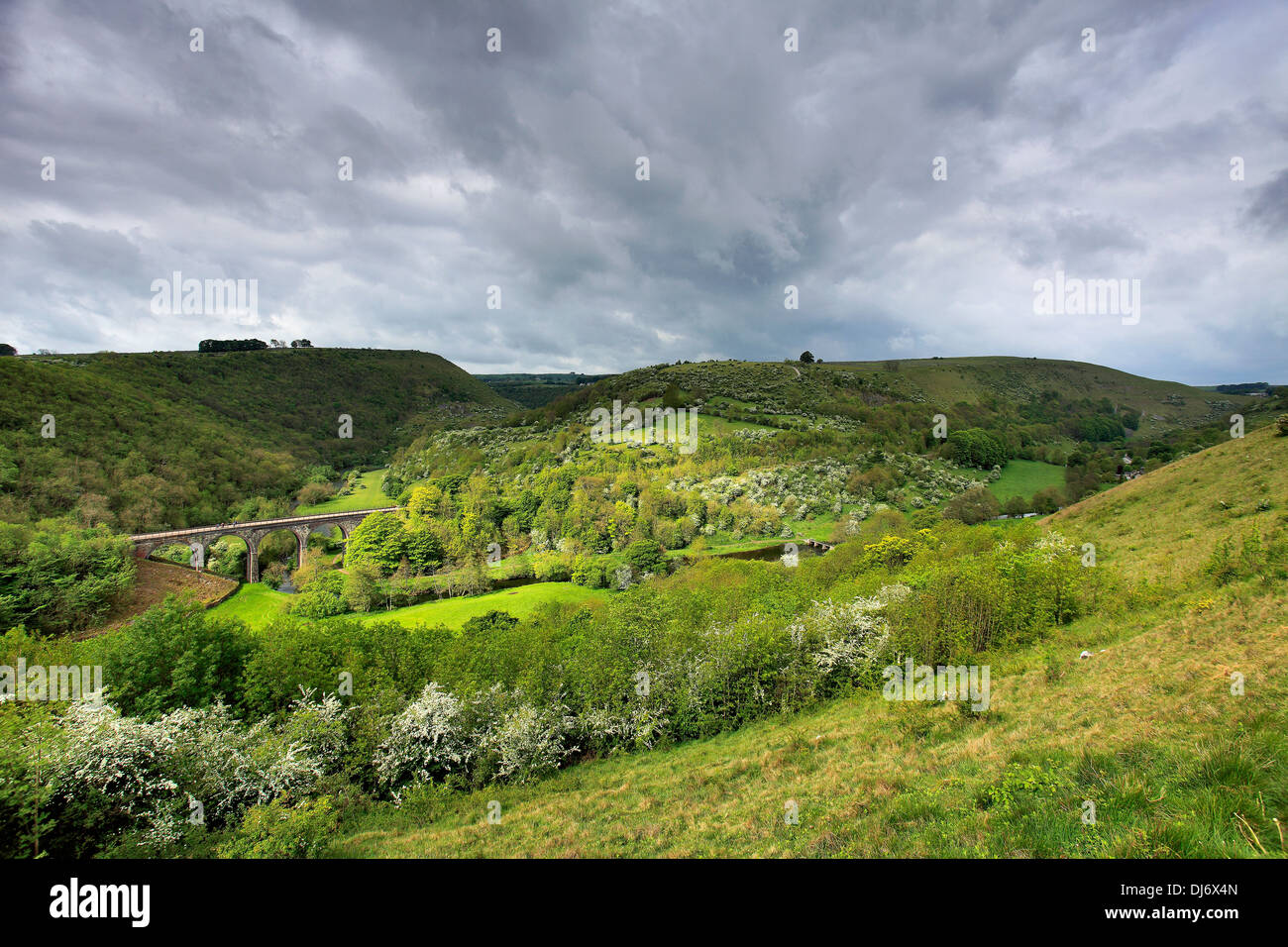 Ein Sommer-Blick über das Viadukt bei Monsal Kopf Ausflugsort, Peak District National Park, Derbyshire Dales, England, UK Stockfoto