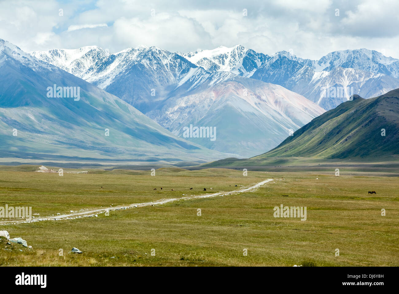 Feldweg im majestätischen Tien Shan-Gebirge Stockfoto