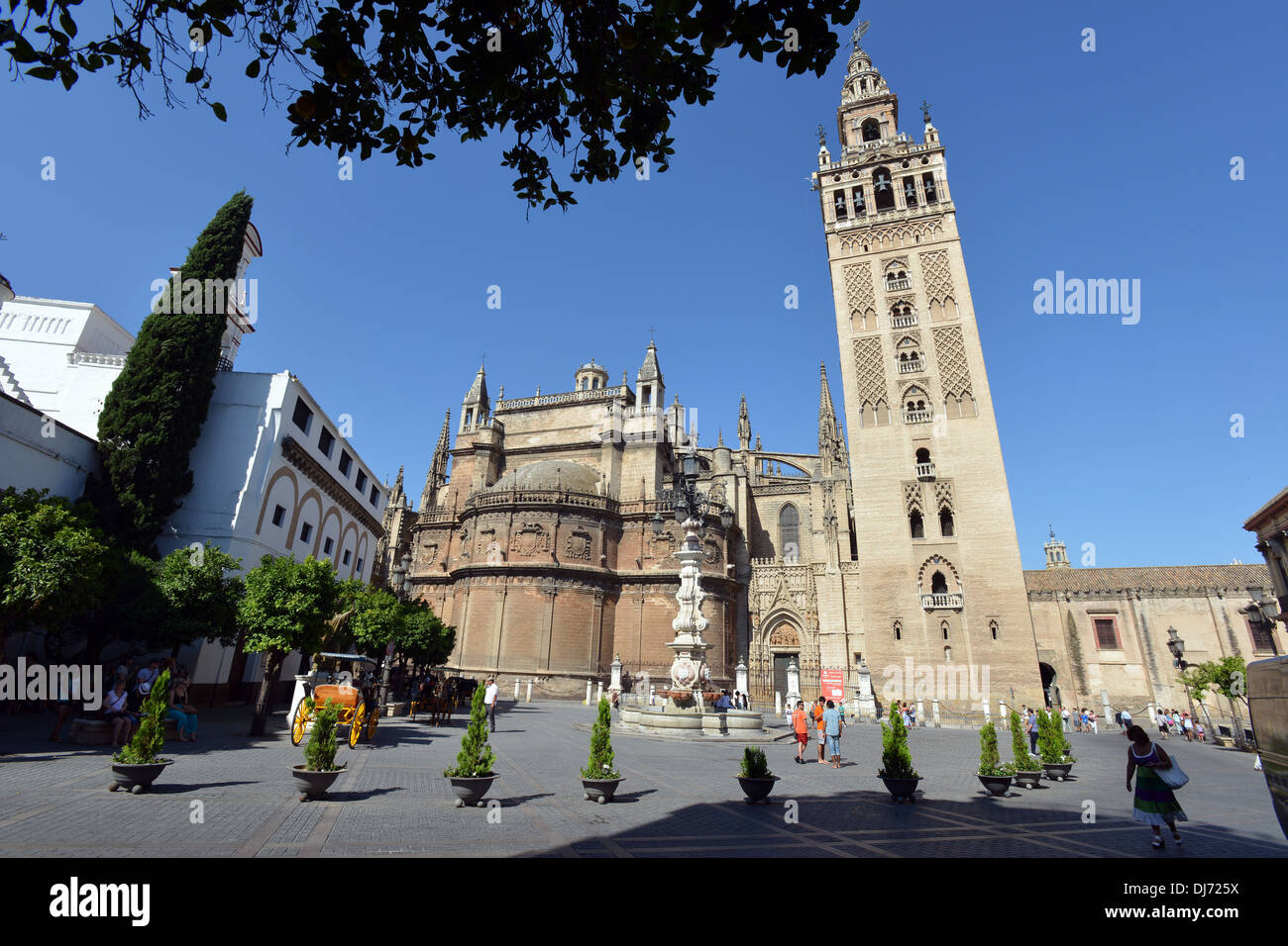 Die Kathedrale der Heiligen Maria des Stuhls besser bekannt als die Kathedrale von Sevilla Stockfoto