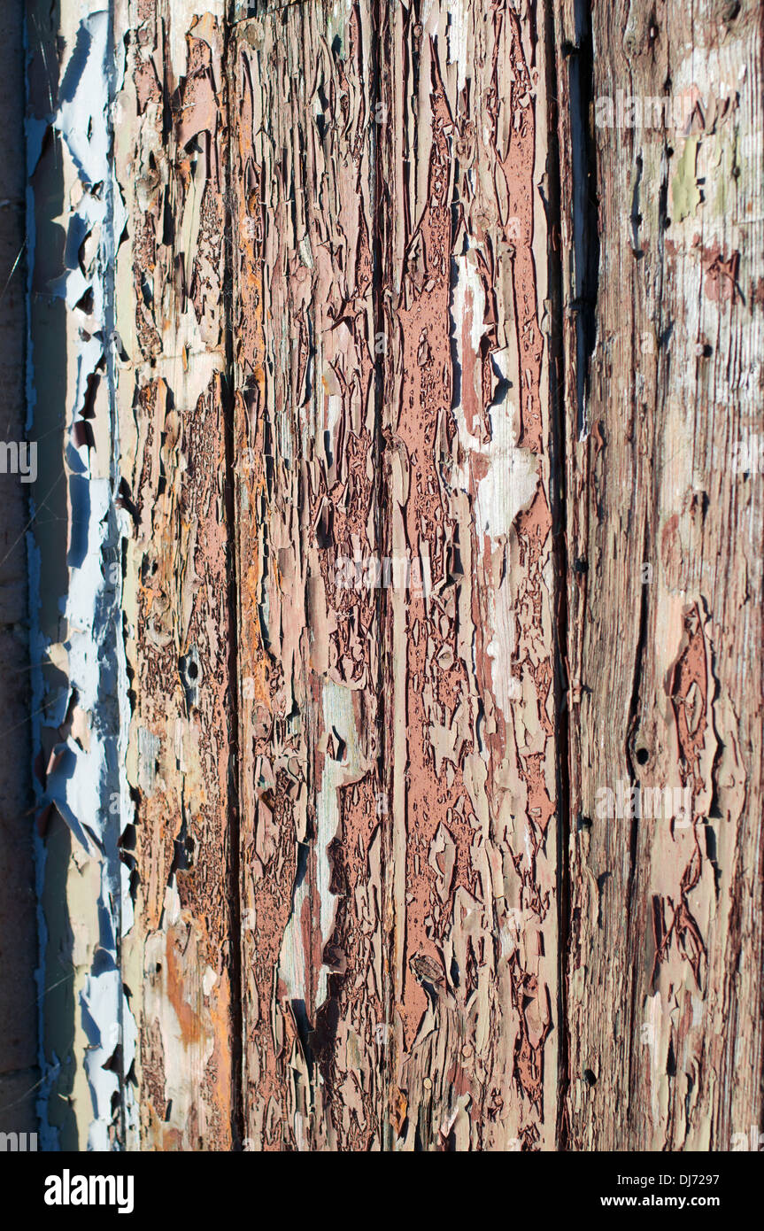 Abplatzungen und verblassen der Farbe auf Holztür Stockfoto