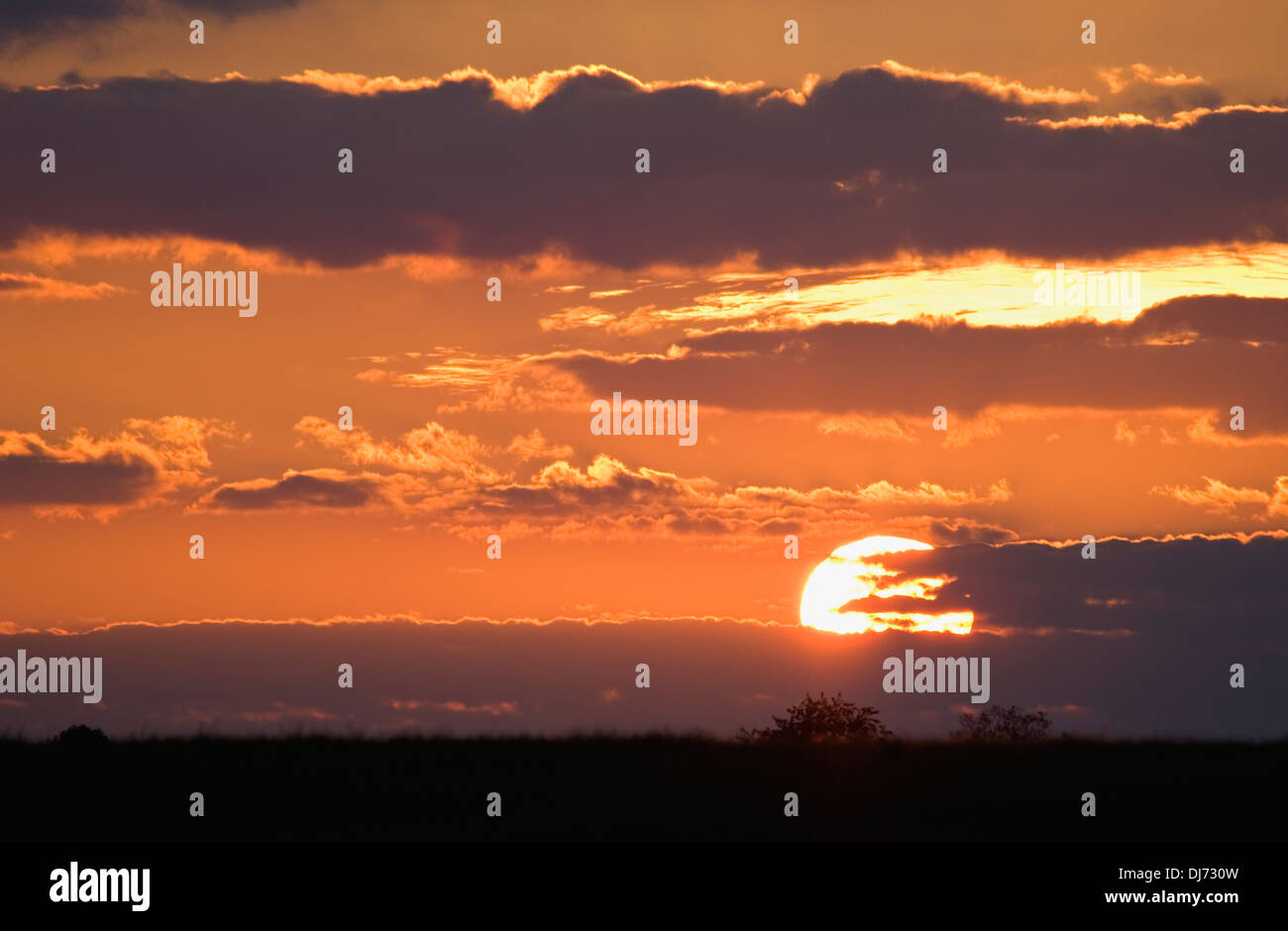 Sonnenuntergang in Woodford County, Kentucky Stockfoto