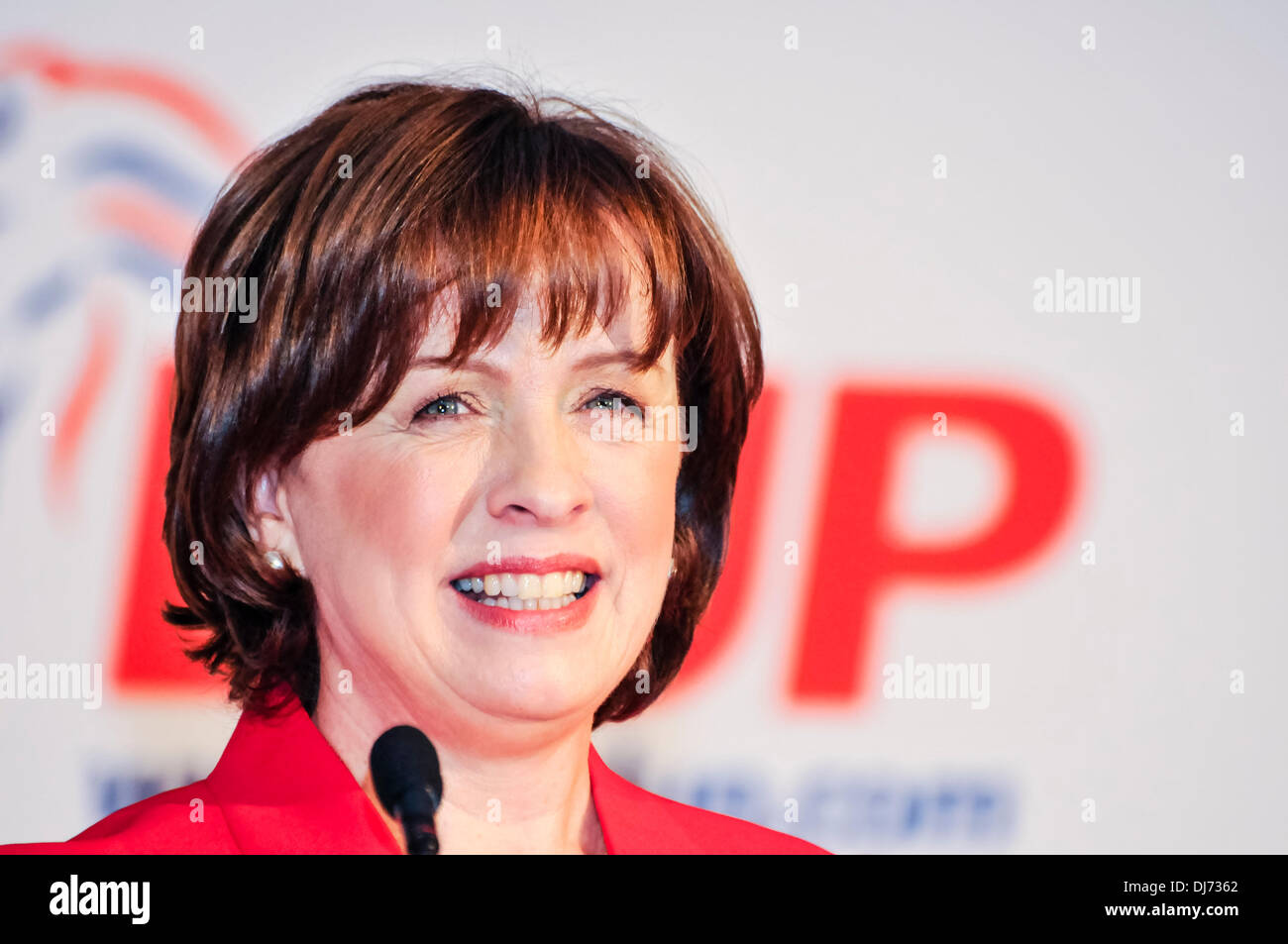 Belfast, Nordirland. 23. November 2013 - Diane Dodds MEP befasst sich der DUP Parrty Konferenz Credit: Stephen Barnes/Alamy Live News Stockfoto