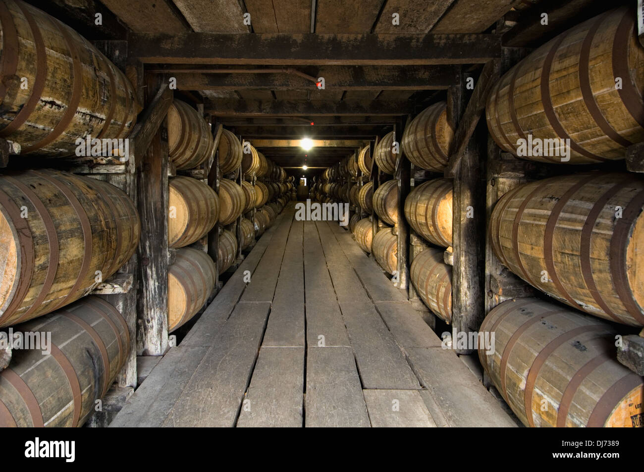 Barrel Bourbon Alterung in einem Rick Haus am Buffalo Trace Distillery in Frankfort, Kentucky Stockfoto