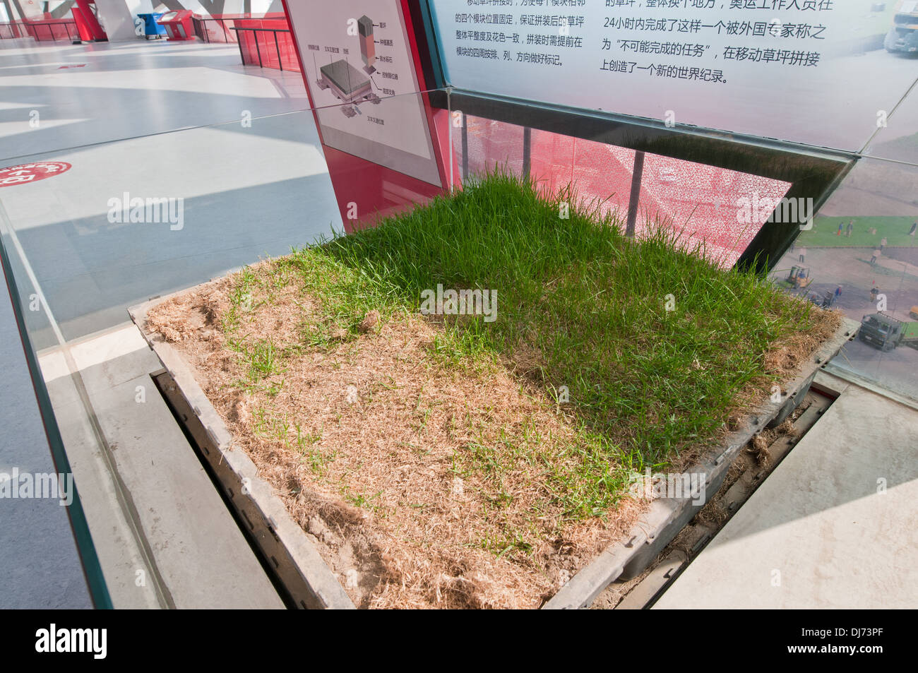 Stück des beweglichen Rasen im Nationalstadion, auch bekannt als das Vogelnest in Chaoyang District, Beijing, China Stockfoto