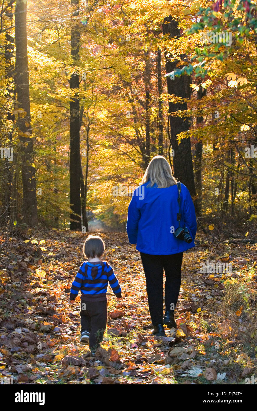 Frau und Enkel zu Fuß in Herbst Wald Stockfoto
