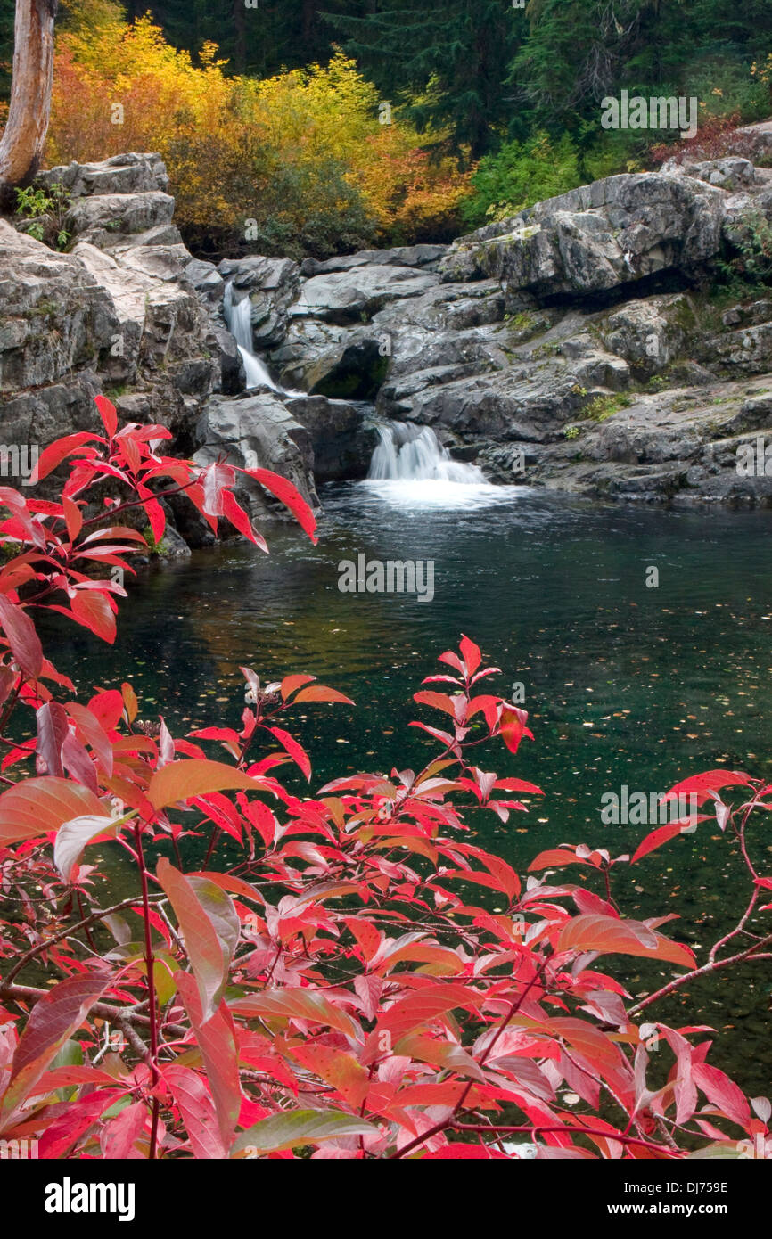 Ein Wasserfall am Box Canyon Creek im Herbst, Nationalwald Wenatchee, Washington. Stockfoto