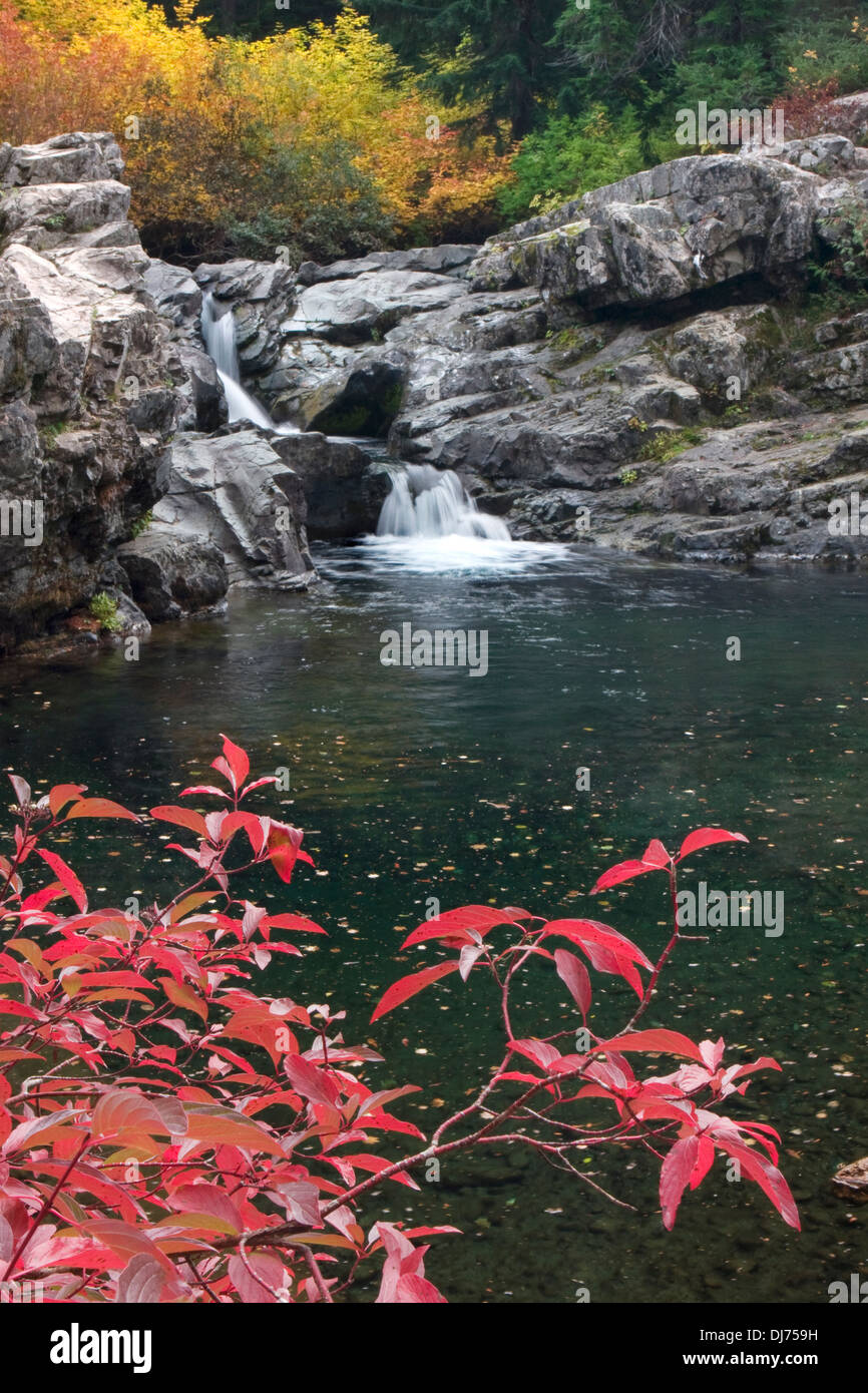 Wasserfall am Box Canyon Creek im Herbst, Wentachee National Forest, Washington. Stockfoto