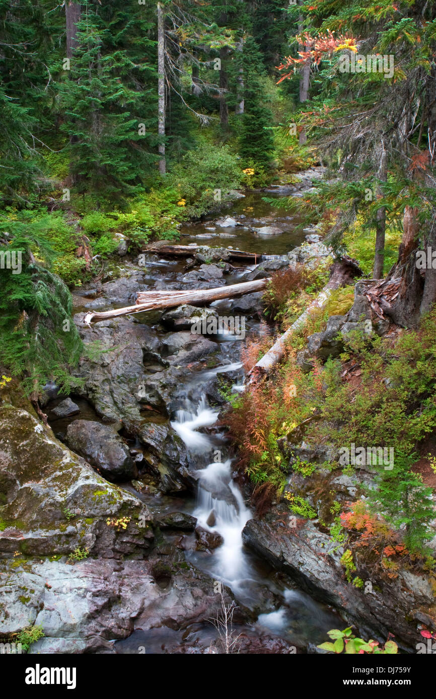 Box Canyon Creek im Herbst, Nationalwald Wenatchee, Washington. Stockfoto