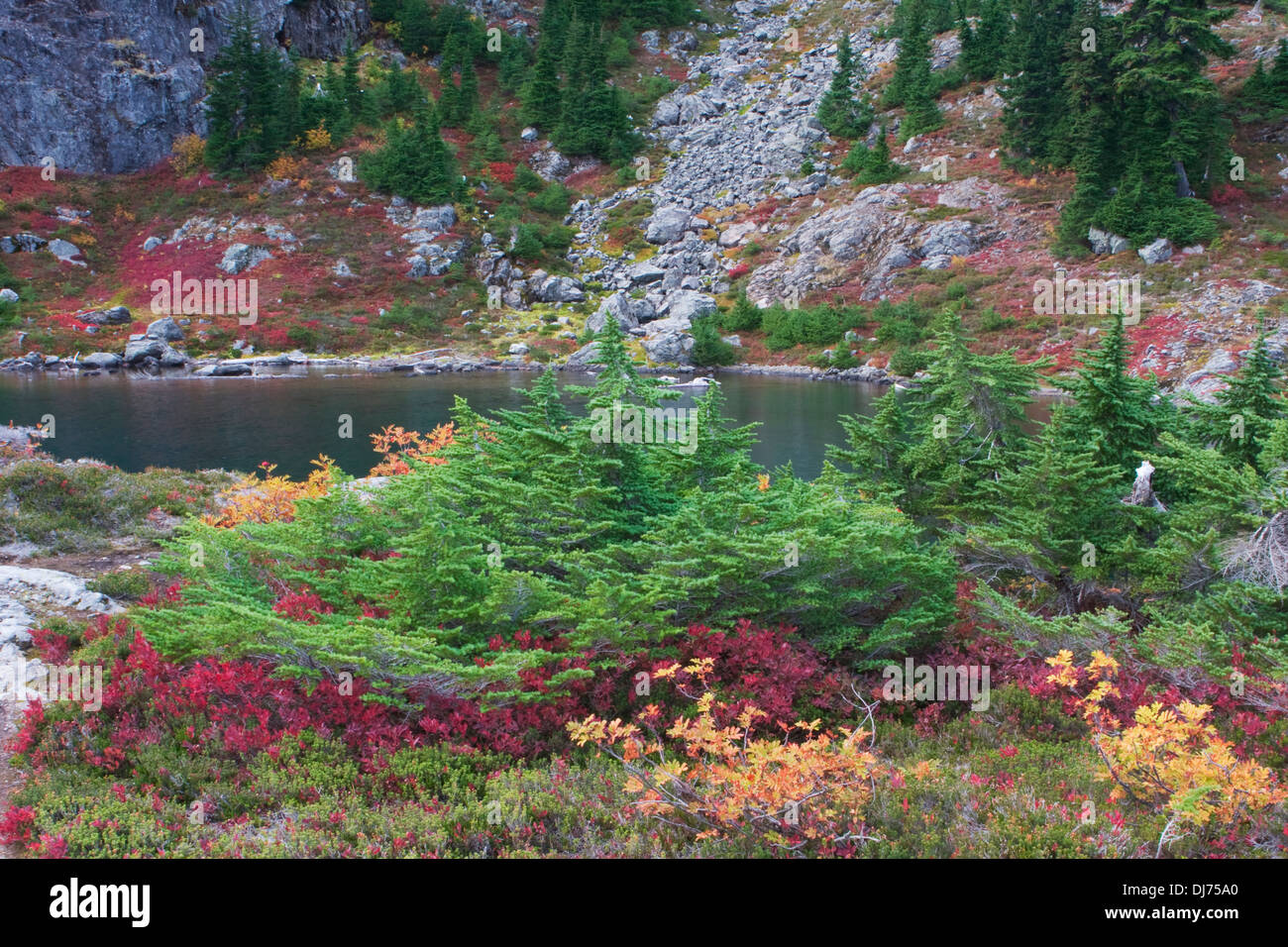 Farben des Herbstes in Wall Lake in der alpinen Seen Wildnis, Washington. Stockfoto