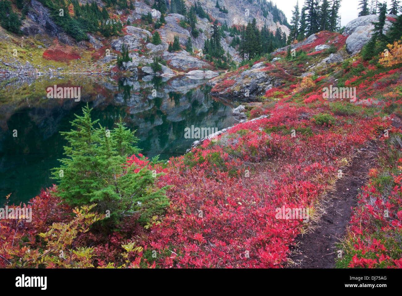 Farben des Herbstes am Wall Seen, alpinen Seen Wildnis, Washington. Stockfoto