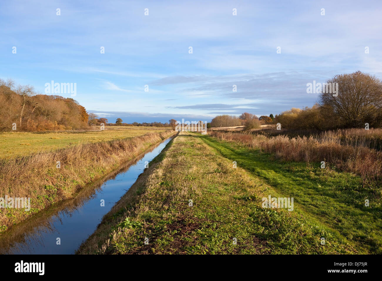 Eine malerische Kanal Leinpfad mit Bäumen und Hecken und einem Graben mit Reflexionen bei bewölktem Himmel im Herbst oder im Herbst Stockfoto