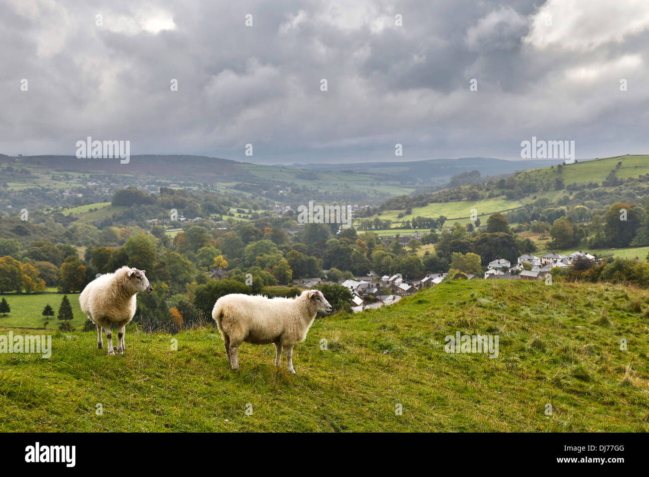 Blick vom Eyam; Peak District; Derbyshire; UK Stockfoto