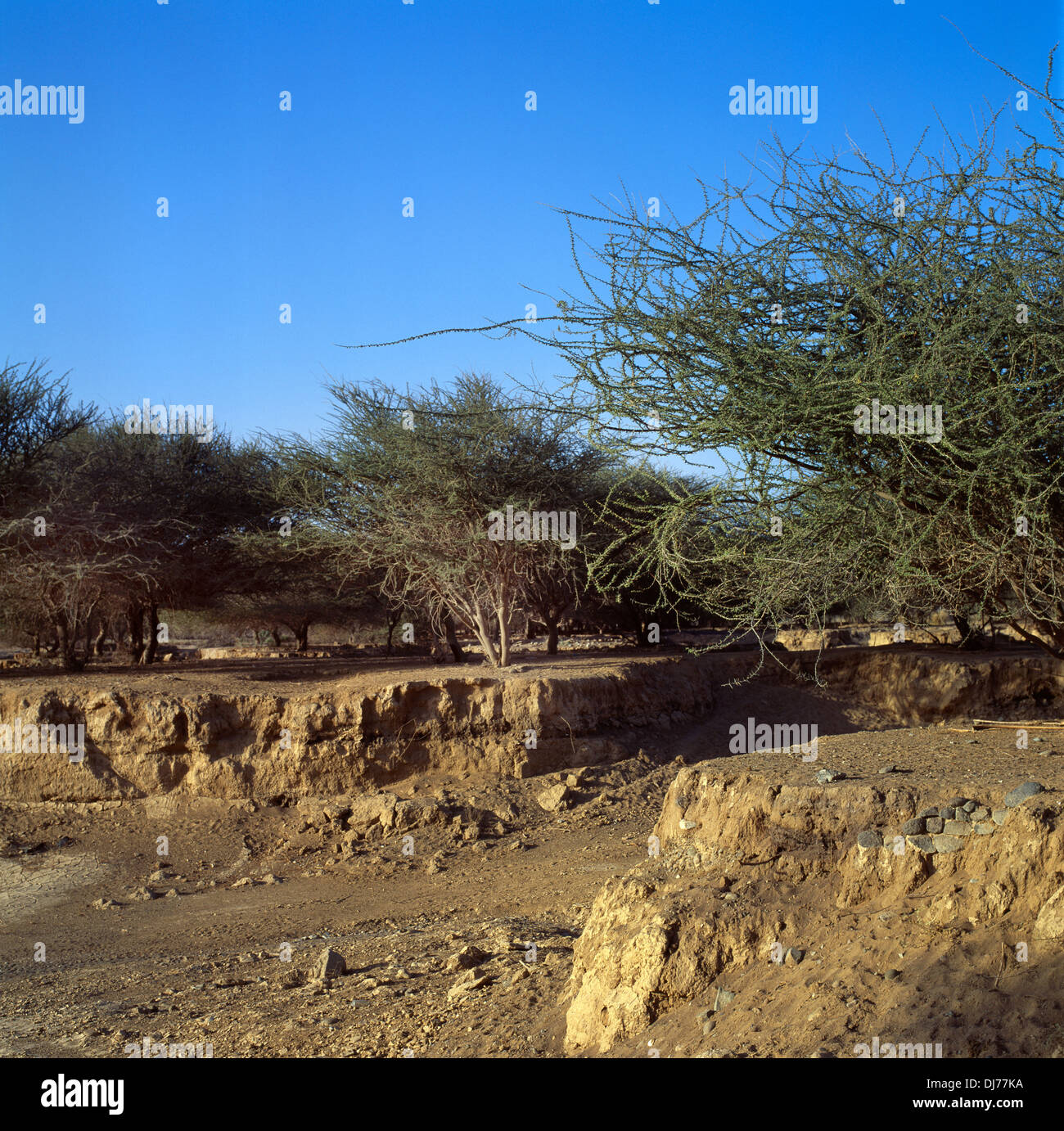 Sharjah Vereinigte Arabische Emirate-Wadi-Boden-Erosion-Wasserrinne-Erosion Stockfoto