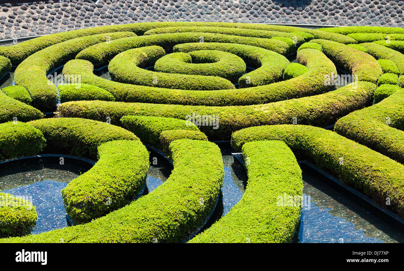 Wunderbarer Garten Labyrinth an einem sonnigen Tag Stockfoto