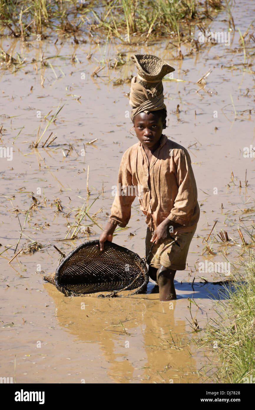 Madagassische Mädchen fangen kleine Fische im Korb, Madagaskar Stockfoto