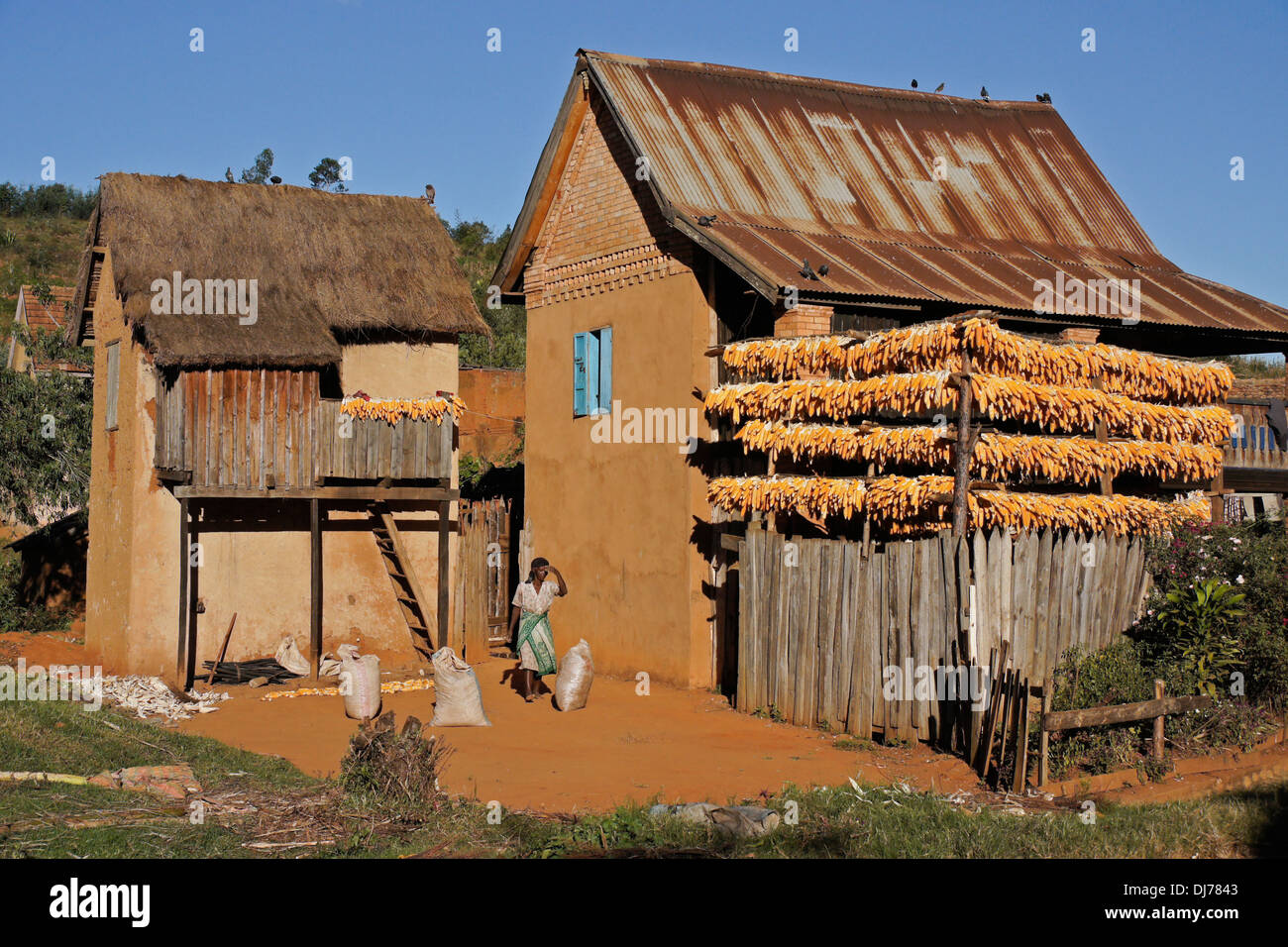 Betsileo Haus und Trocknung Mais, zentralen Hochland von Madagaskar Stockfoto