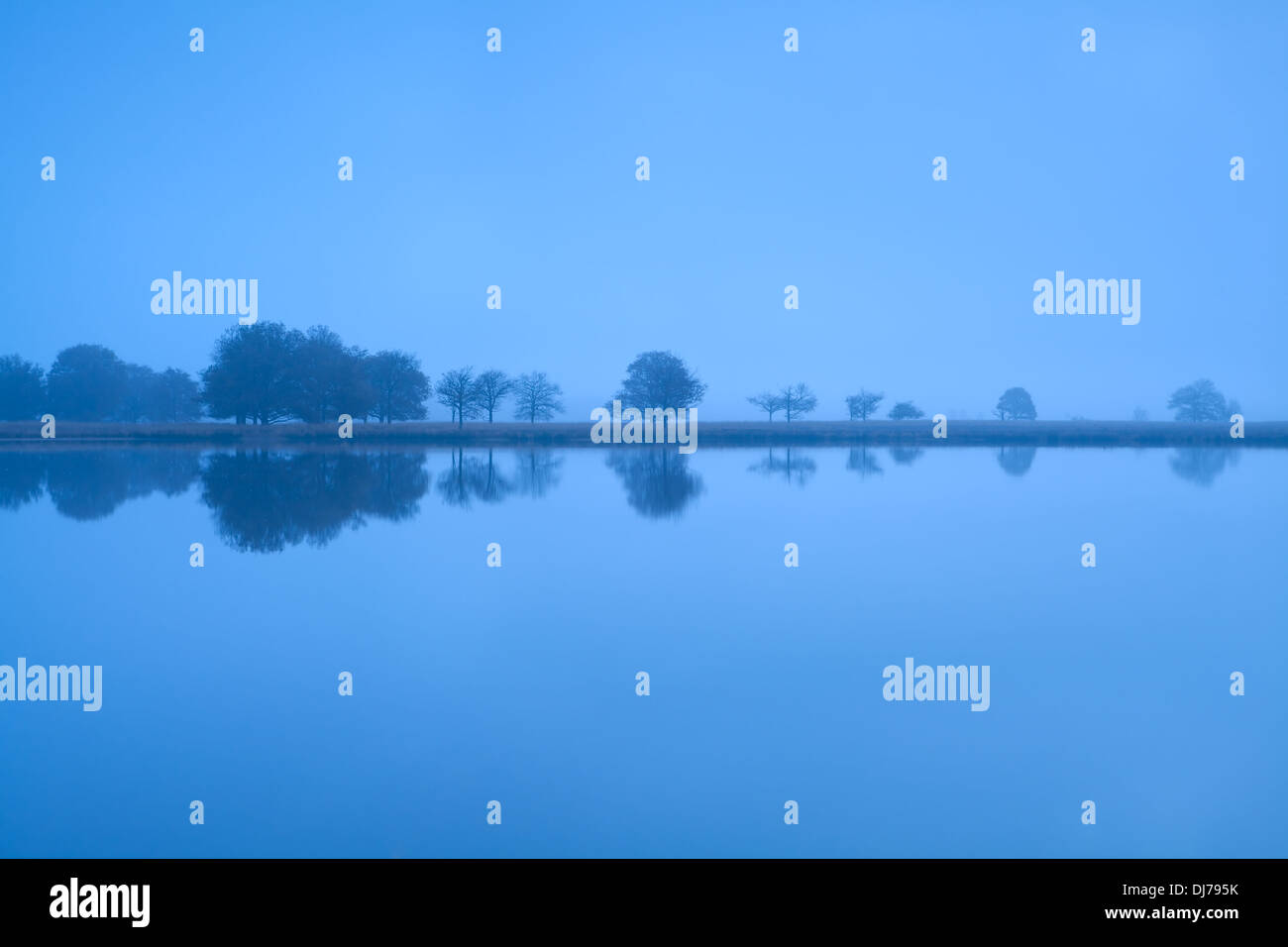 Baum Spiegelungen im Wasser des Sees bei nebligen Morgen, Friesland, Niederlande Stockfoto