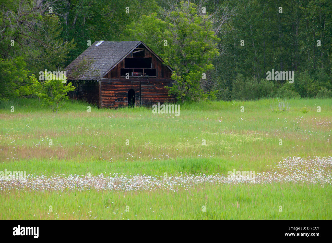 Scheune, Roundtop Wildlife Area, British Columbia, Kanada Stockfoto