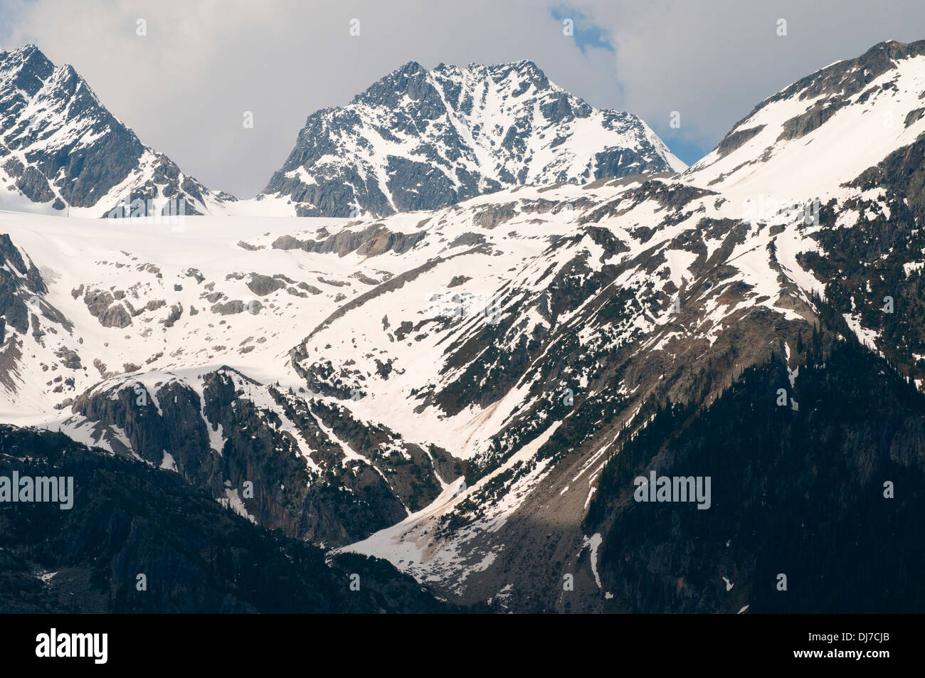 Einsiedler Berg, Rogers Pass National Historic Site, Glacier National Park, Britisch-Kolumbien, Kanada Stockfoto