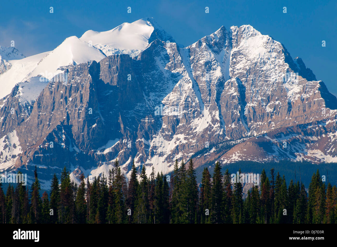 Mount Burgess, Yoho Nationalpark, Britisch-Kolumbien, Kanada Stockfoto