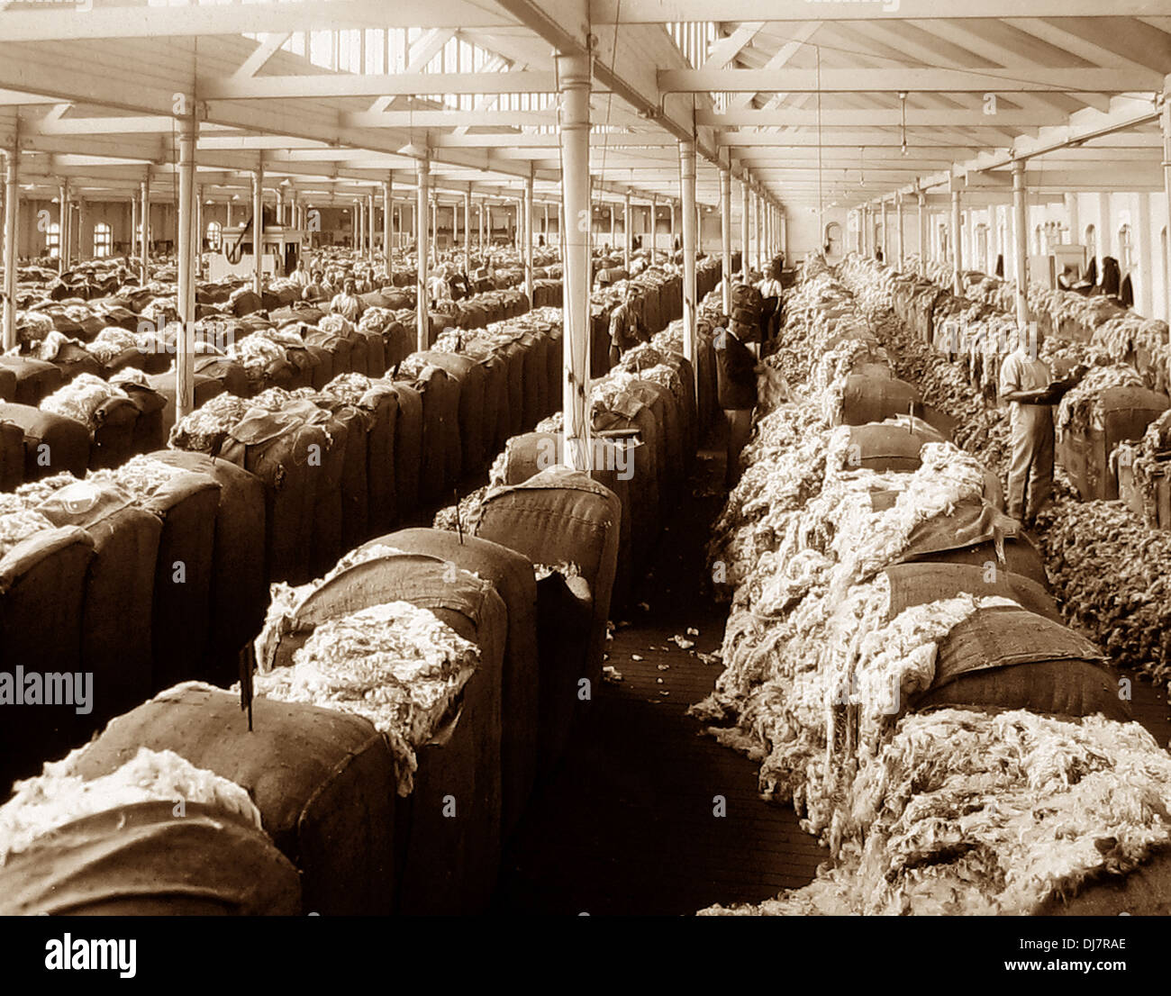 Wolle-Showroom Sydney Australien New South Wales NSW wahrscheinlich der 1920er Jahre Stockfoto