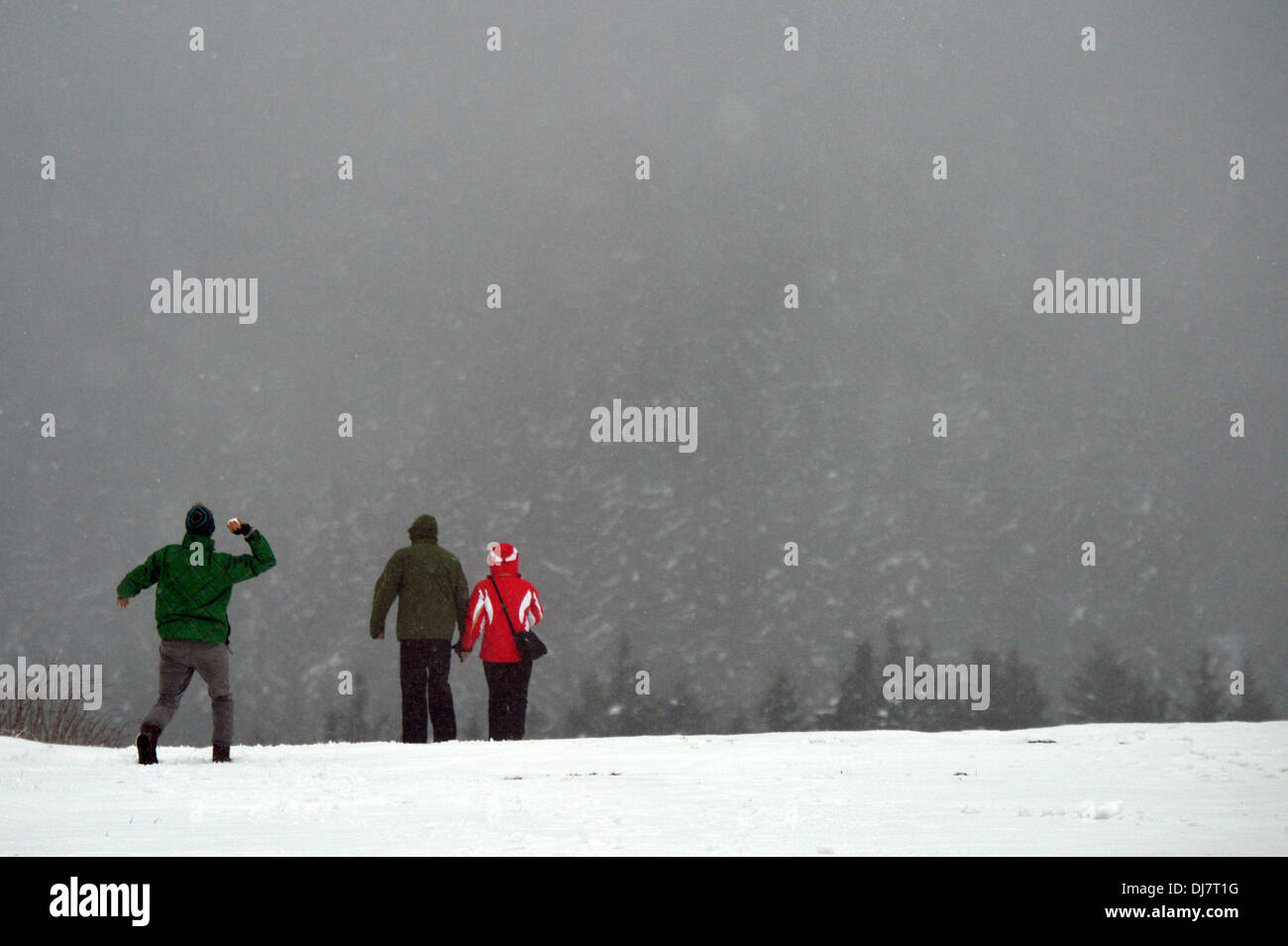 Ein Junge wirft einen Schneeball auf seine Eltern auf eine geschlossene Skipiste in der Schneefall in Oberhof, Deutschland, 24. November 2013. Foto: MARC TIRL Stockfoto