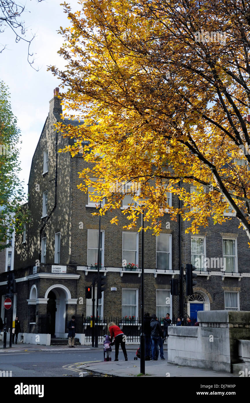Belebten Ecke Gower Street zeigt georgische Häuser und Baum mit Herbst Blätter im Vordergrund Bloomsbury London England UK Stockfoto