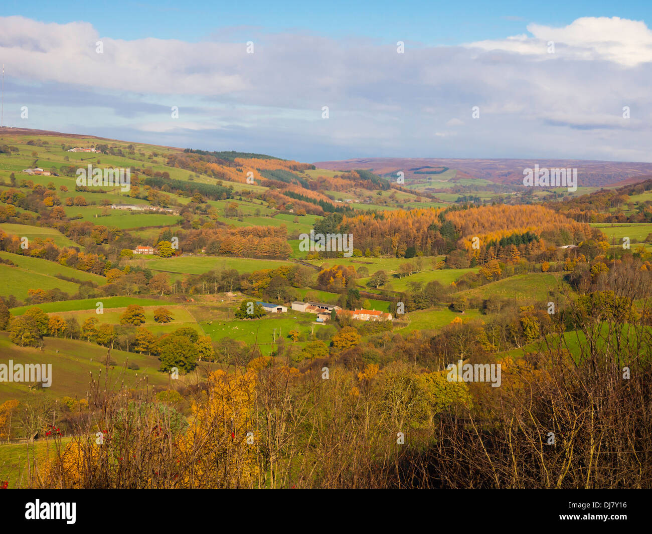 Landschaft in ESK in der Nähe von Helmsley in North Yorkshire Moors Nationalpark in Herbstfarben Stockfoto