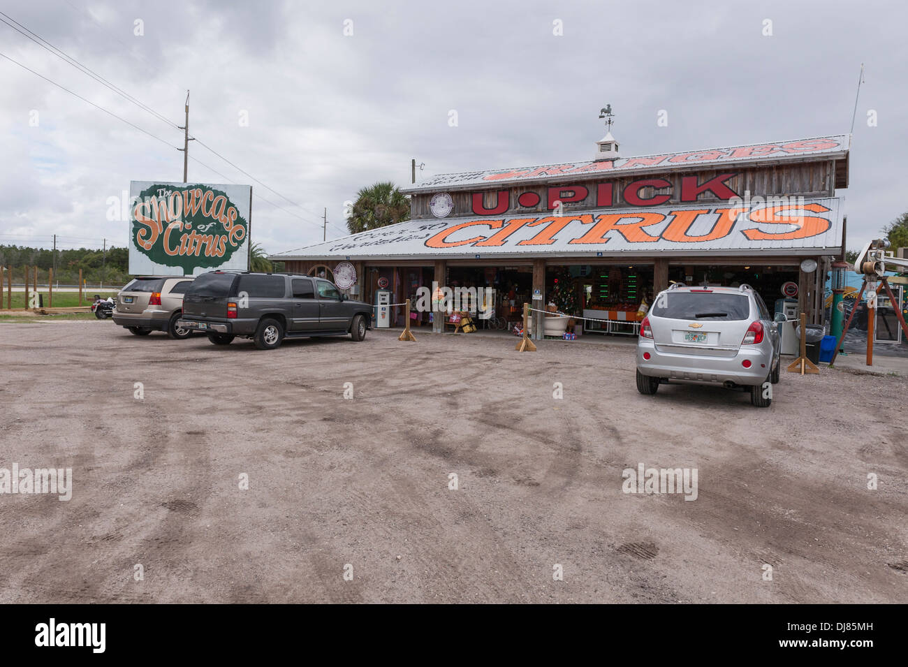 Eine Citrus Store auf der State Road 27 in Clermont, Florida USA Stockfoto