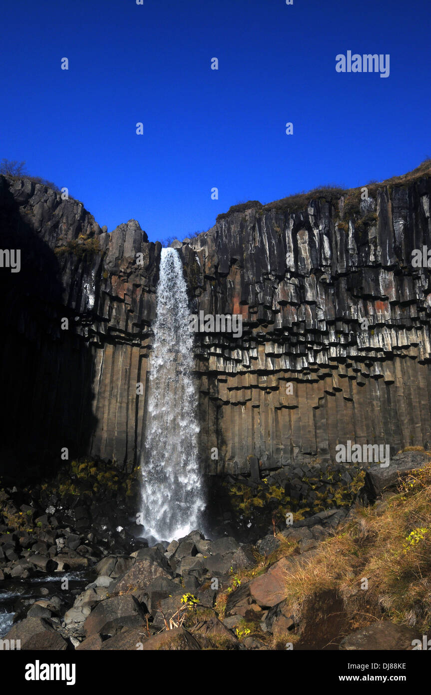 Wasserfall Svartifoss im Herbst, in der Nähe von Skaftafell Vatnajökull-Nationalpark, Island Stockfoto