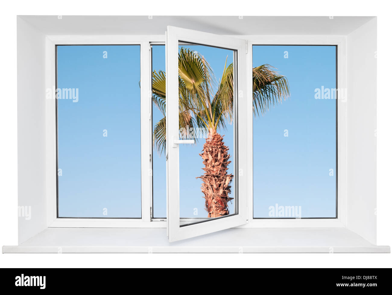 Weiße Kunststoff dreifach Türfenster mit Palme auf blauen Himmel durch Glas. Isoliert auf weißem Hintergrund. Geöffnete Tür Stockfoto