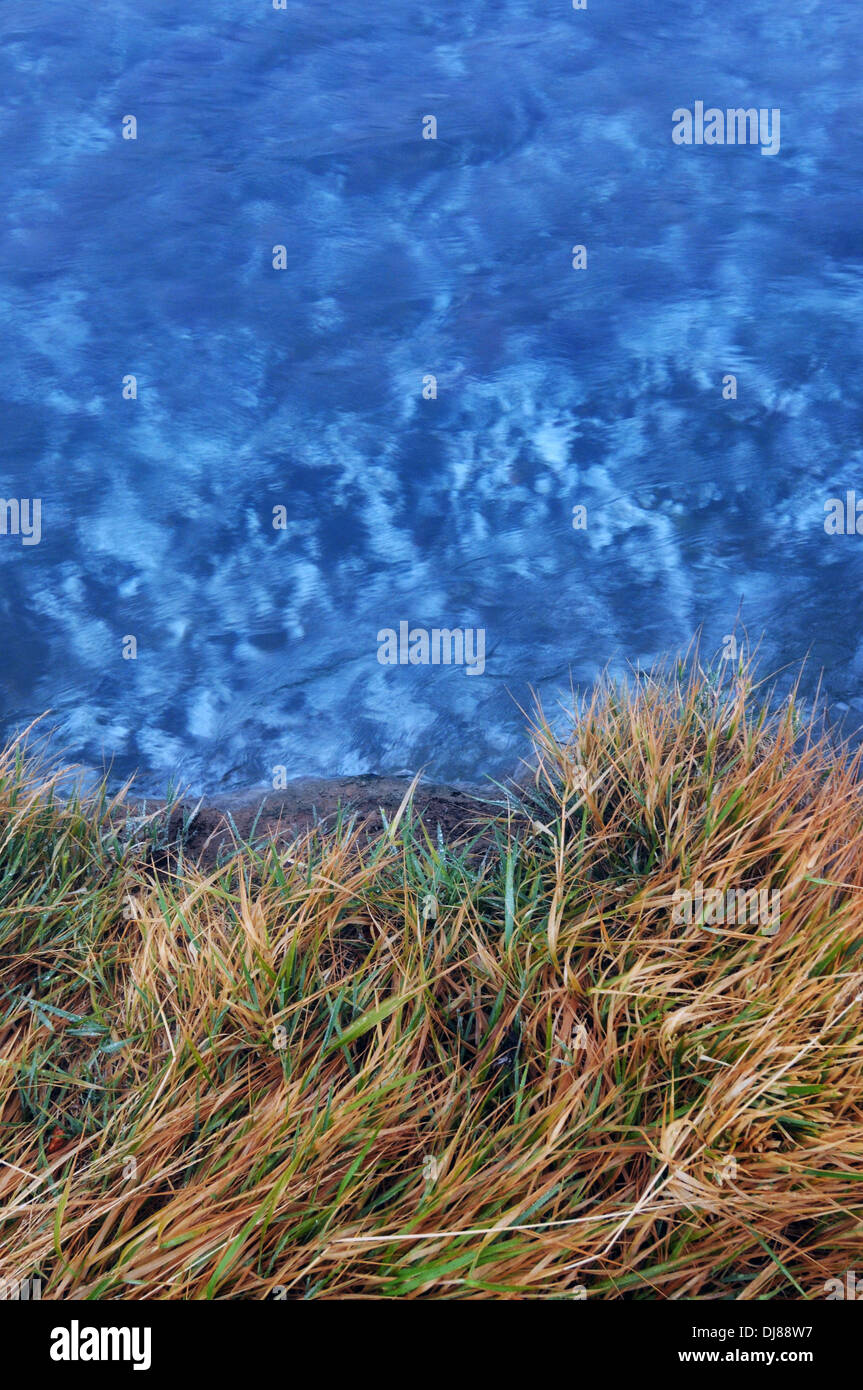 Rand einer geothermischen heißen Quelle im Bereich Hengill, Island Stockfoto