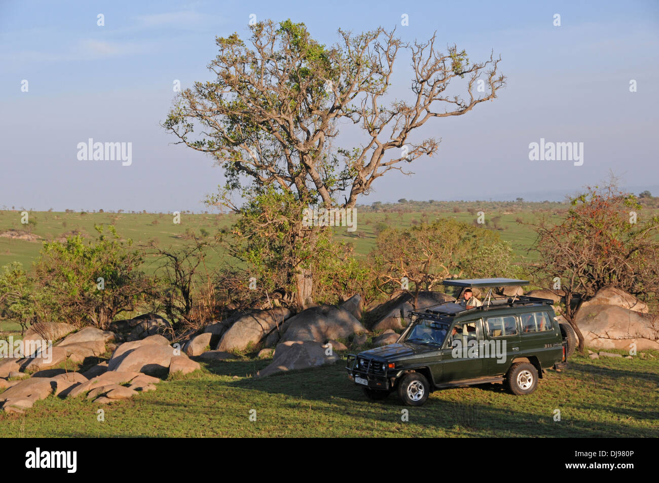 Pirschfahrt, Serengeti Nationalpark, Tansania, Ostafrika Stockfoto