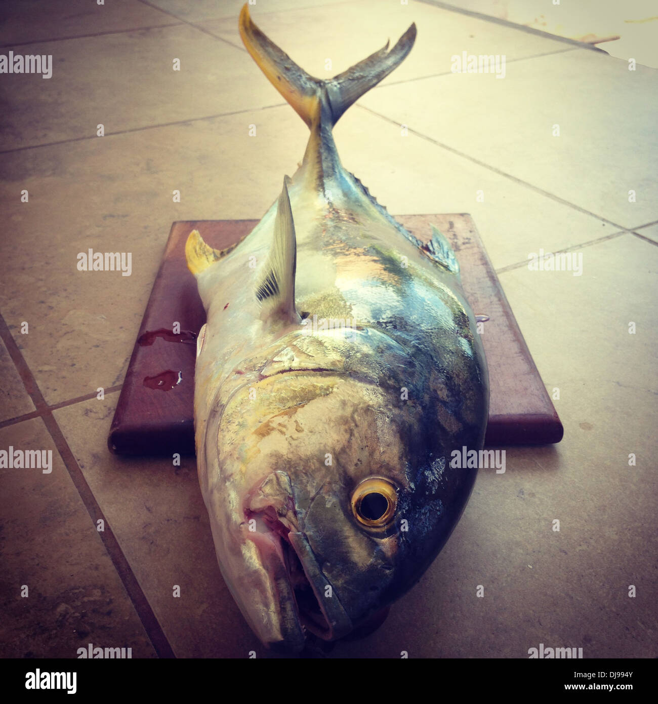 Nahaufnahme von Fisch auf Holzbrett Stockfoto