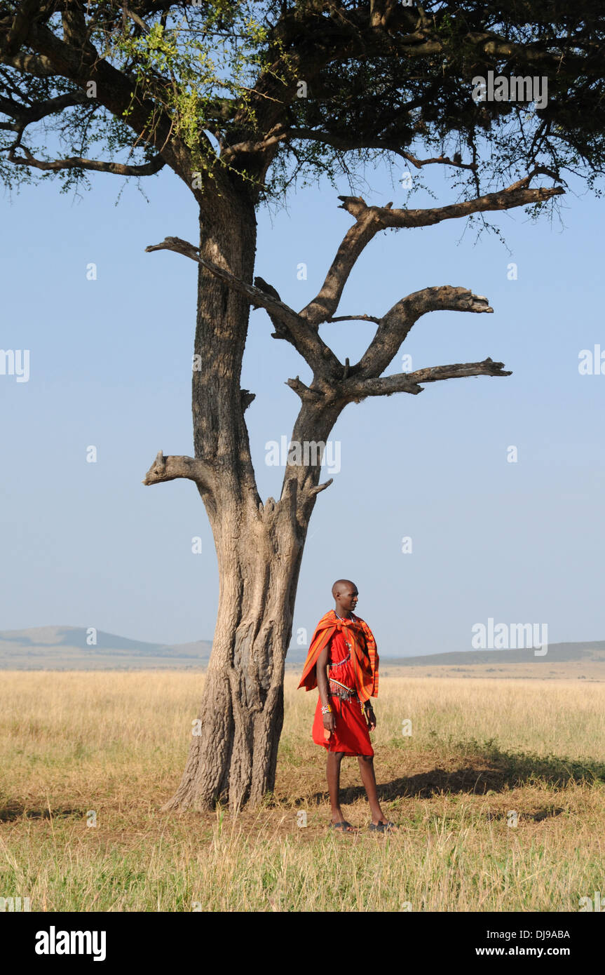 Massai-Stamm, Masai Mara National Reserve, Kenia, Ostafrika Stockfoto