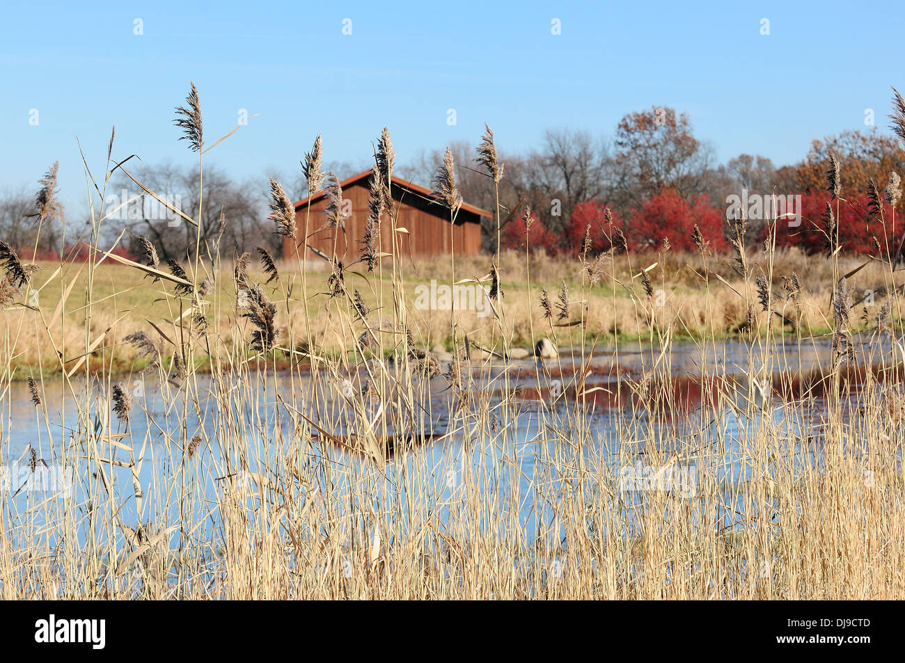 Bauernhof Scheune neben Tiefland Marsh. Stockfoto