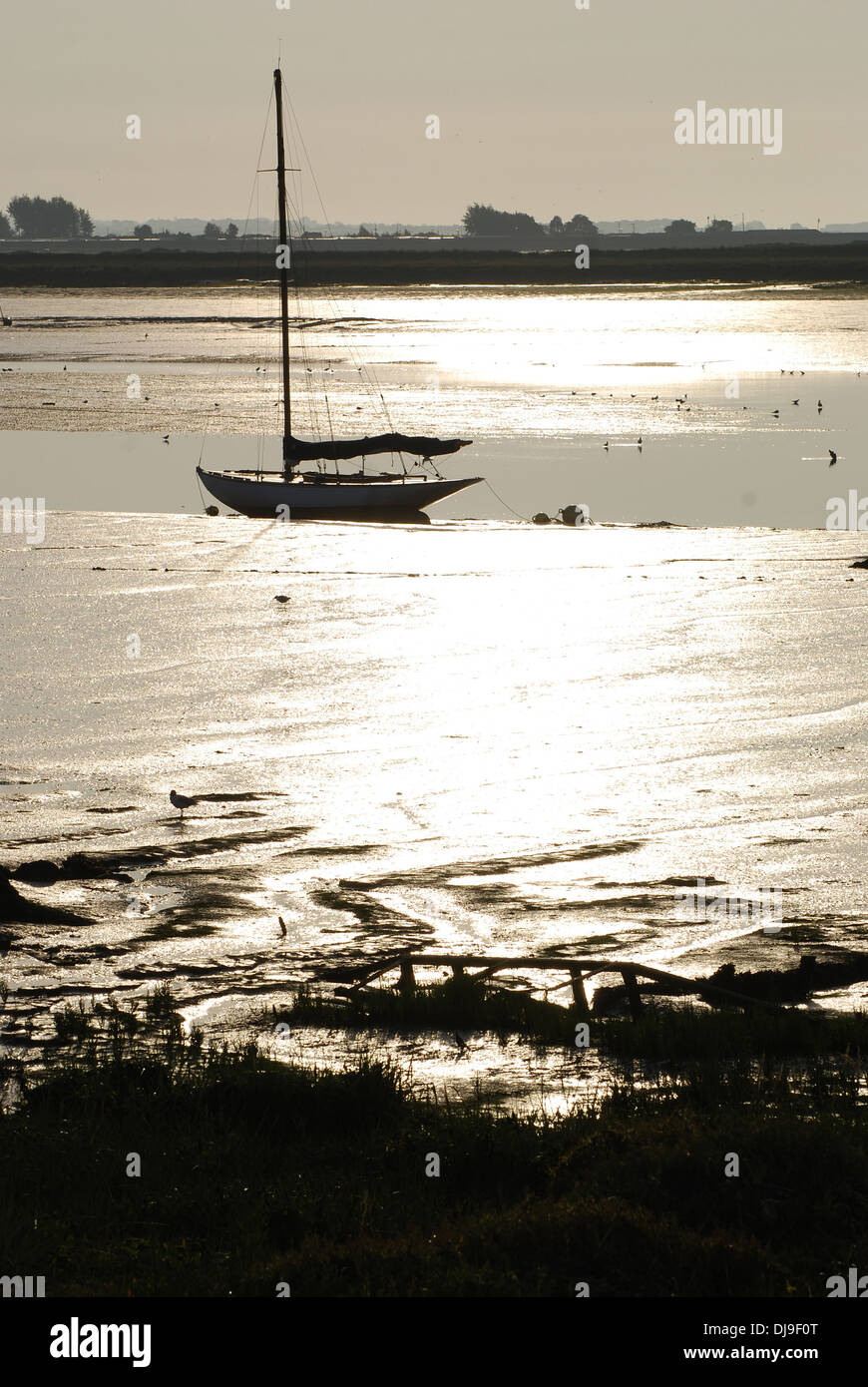 Sonnenaufgang am Fluss Blackwater bei Heybridge Stockfoto