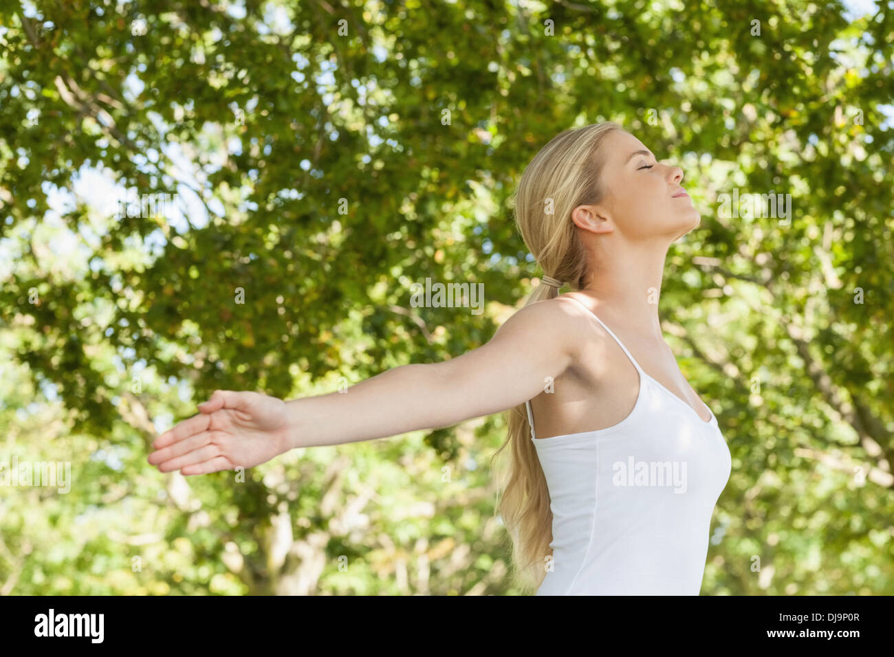 Attraktive blonde Frau praktizieren Yoga in einem park Stockfoto