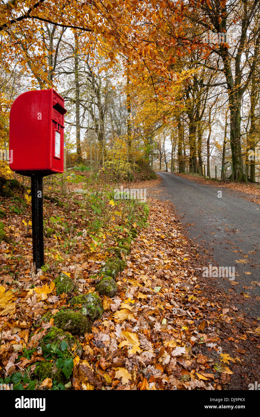 Einen Briefkasten auf einem herbstlich ruhigen Gasse in der Nähe von Lake District Skelwith Fold, in der Nähe von Ambleside, Cumbria Stockfoto