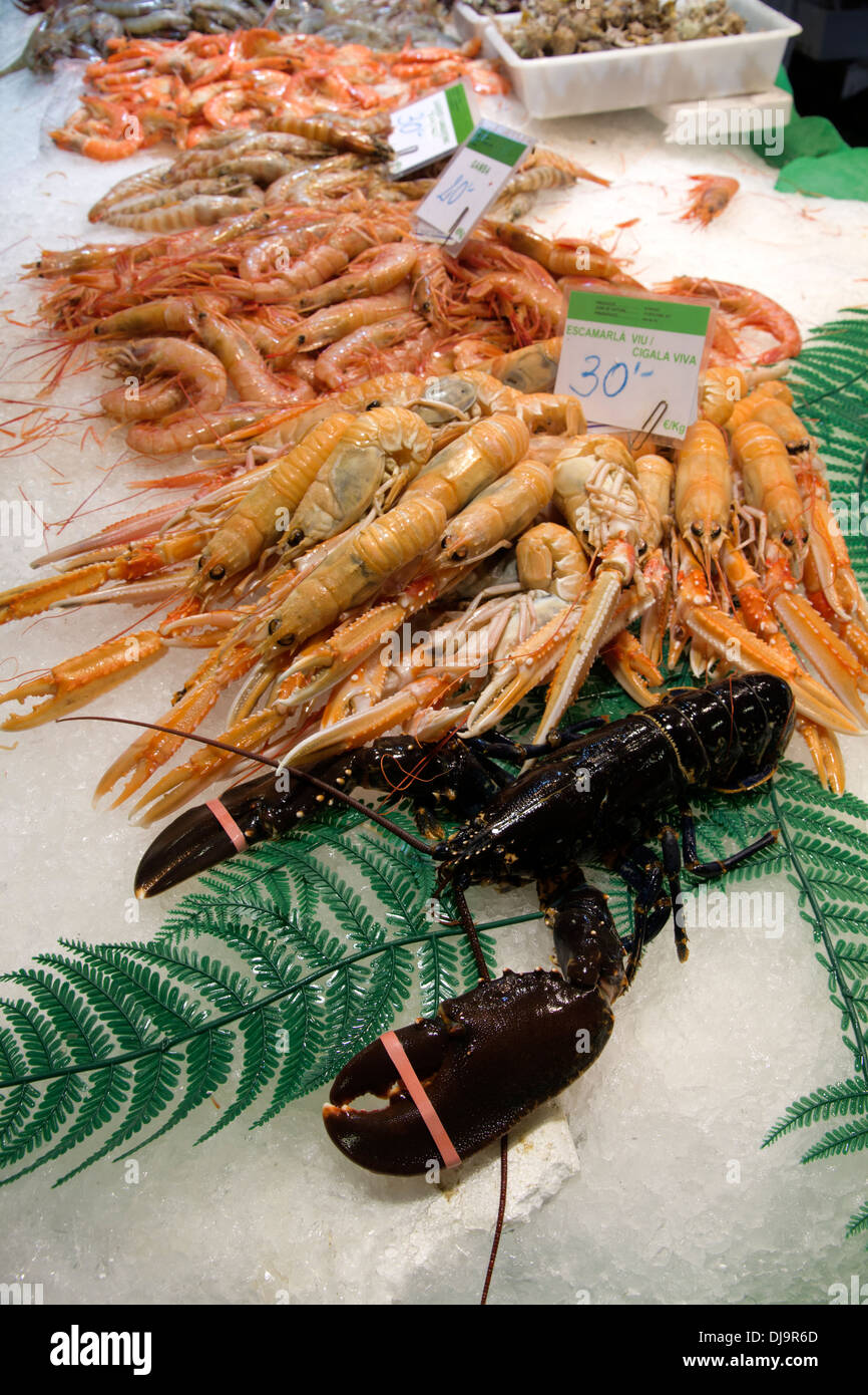 Muscheln, Ramblas Markt, Barcelona, Stockfoto