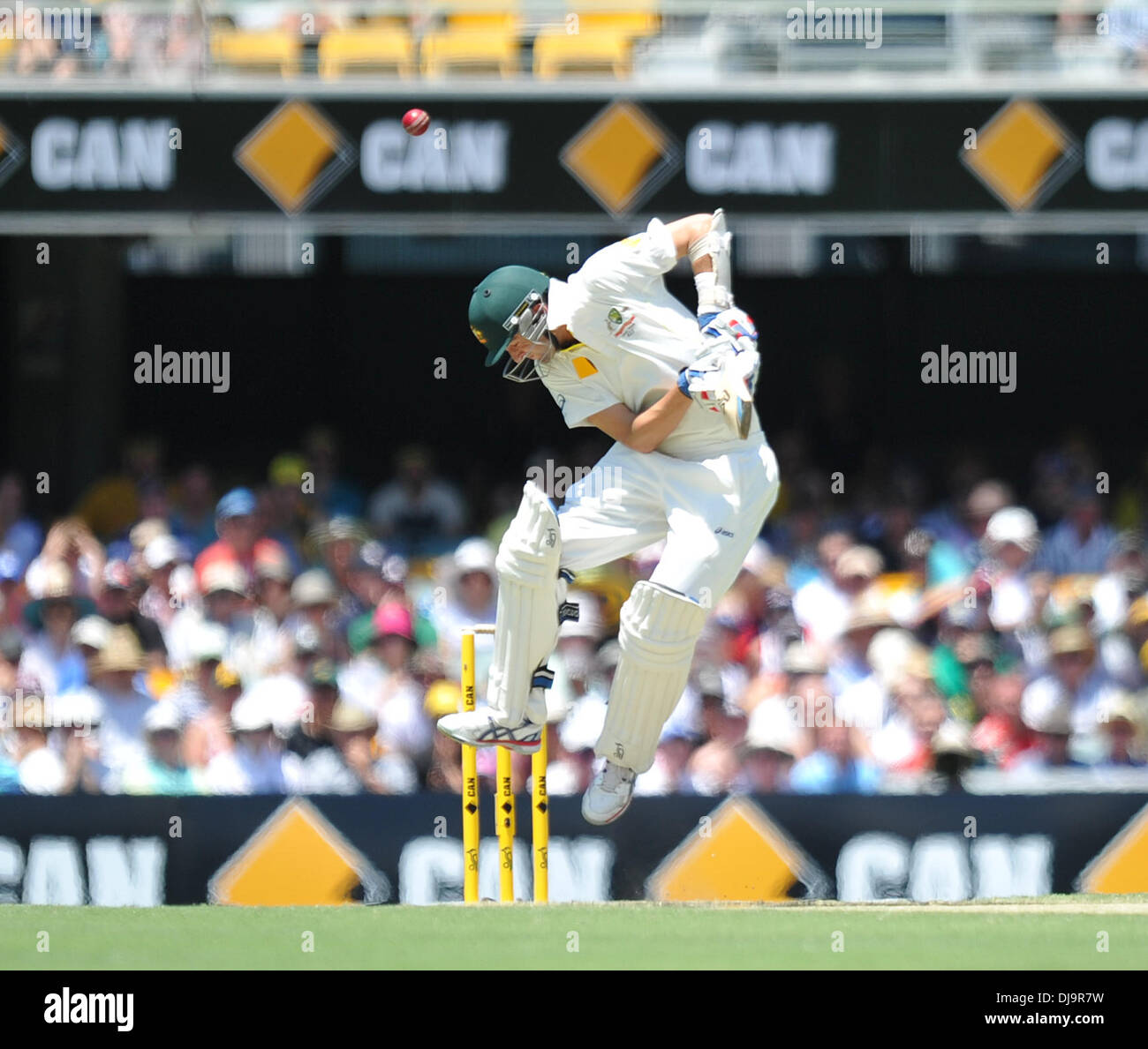 Brisbane, Australien. 22. November 2013. NATHAN LYON Gabba Cricket Ground. Tag2 der ersten Asche Test 2013/14 Australien gegen England. © Aktion Plus Sport/Alamy Live-Nachrichten Stockfoto