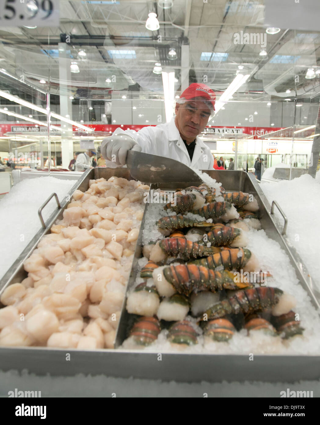 Männliche Hispanic COSTCO Store Lagermitarbeiter stellt Eis an frischen Meeresfrüchten im neuen Store in Cedar Park, Texas Stockfoto