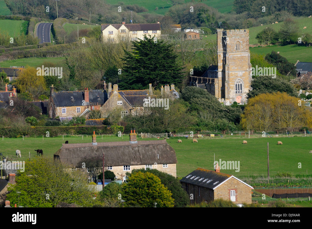 Eine Ansicht von Abbotsbury Dorset UK Stockfoto