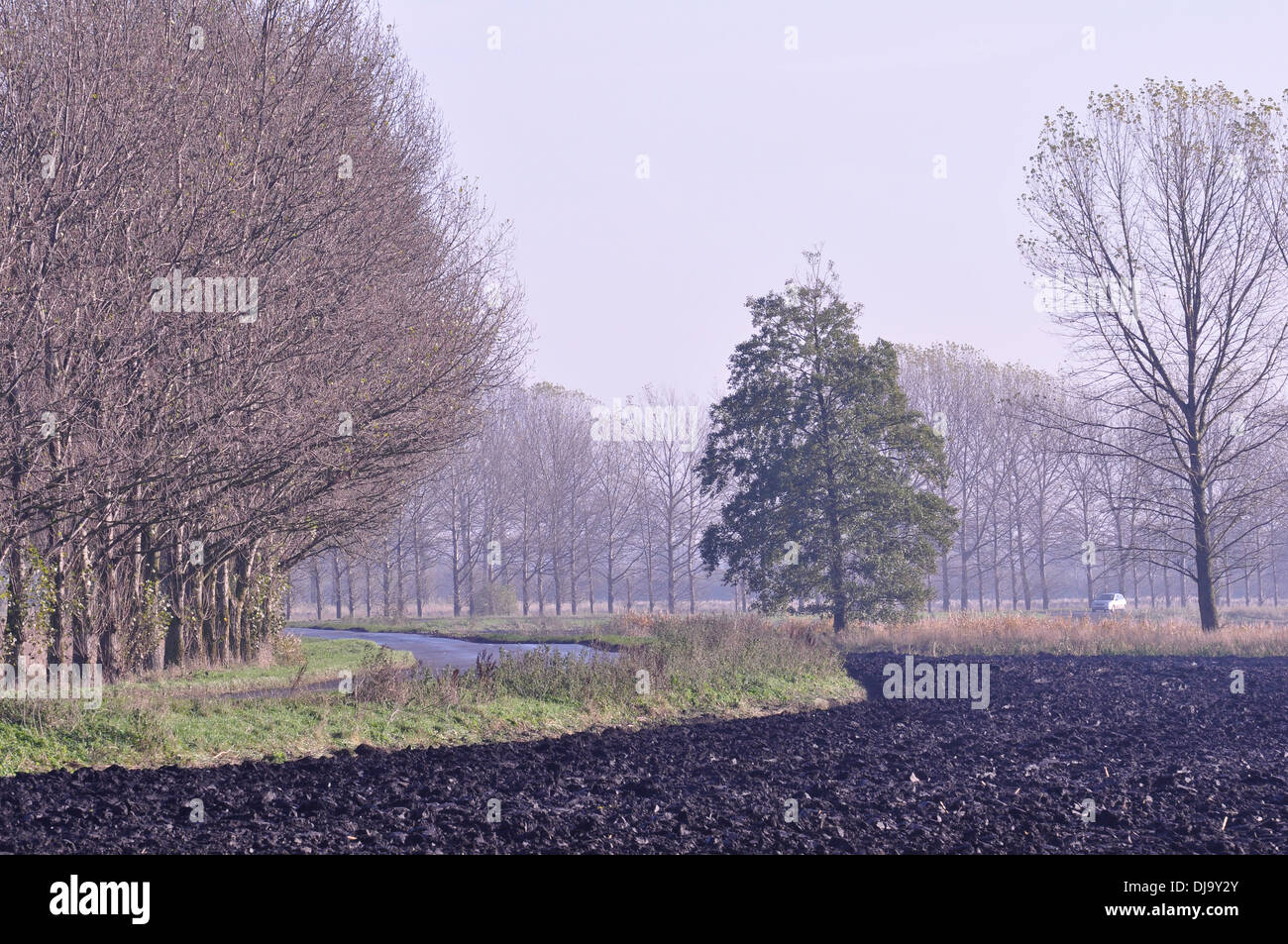 Fenland Landschaft in der Nähe von Prickwillow, Cambridgeshire, Großbritannien. Stockfoto