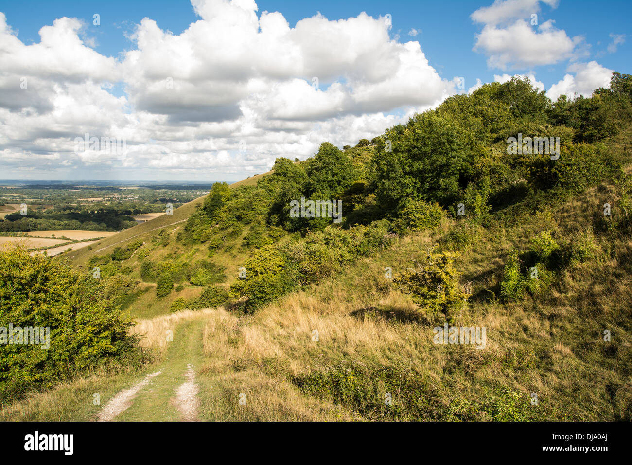 Blick auf die Sussex Weald von Rackham Hügel in den South Downs National Park in West Sussex. Stockfoto