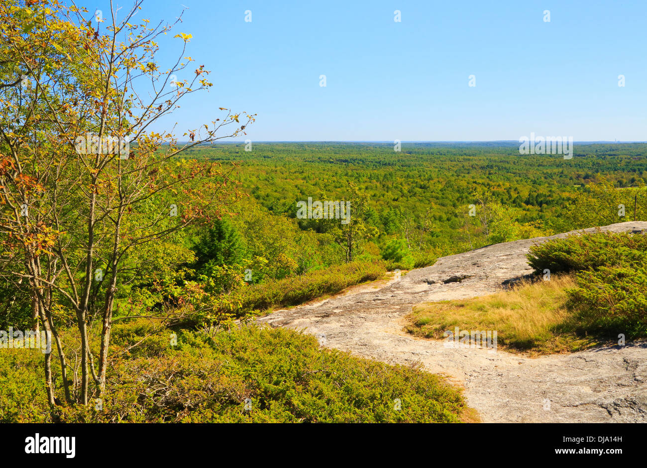 Gipfel, Bradbury Mountain State Park, Pownal Center, Maine, USA Stockfoto