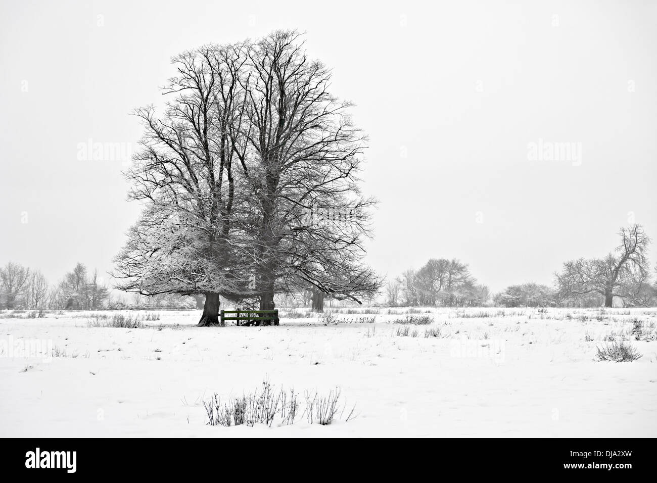 Am frühen Morgen neblig und schneereichen Winter-Szene auf einem Bauernhof in Peterborough, England Stockfoto