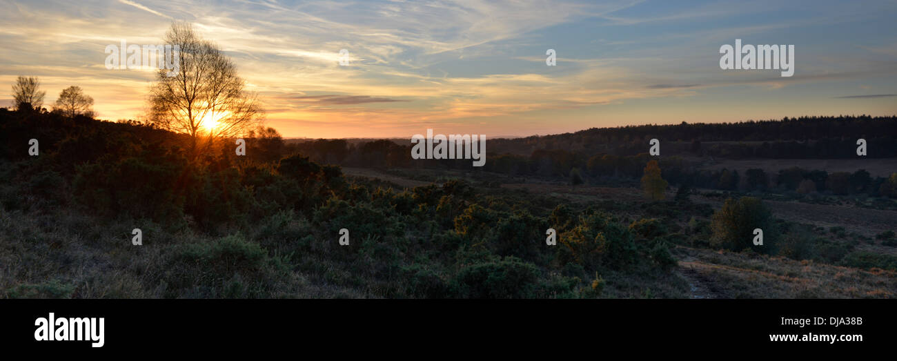 Späten Herbst Sonnenuntergang im New Forest, Hampshire, UK Stockfoto